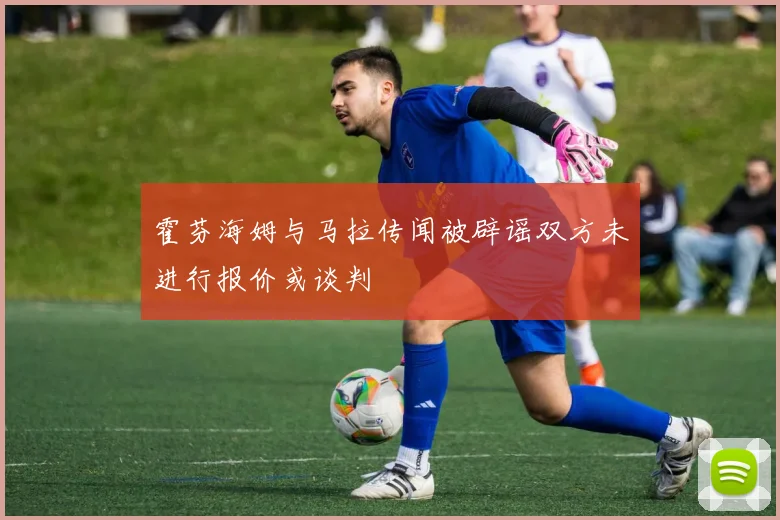 霍芬海姆与马拉传闻被辟谣双方未进行报价或谈判