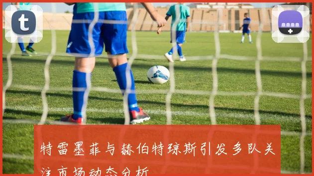 特雷墨菲与赫伯特琼斯引发多队关注市场动态分析